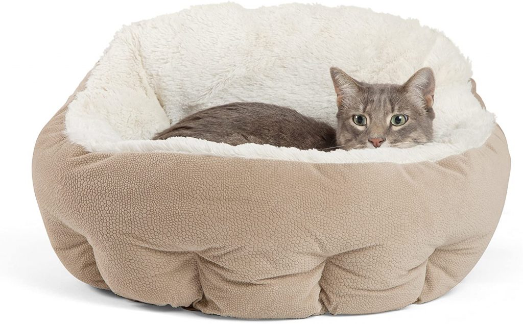 Best friend deep dish cuddled self warming cat bed large