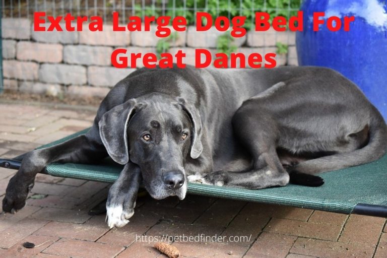 extra large dog beds for great danes