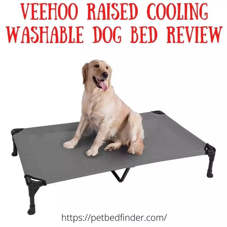Veehoo Raised Cooling Washable Dog Bed Review