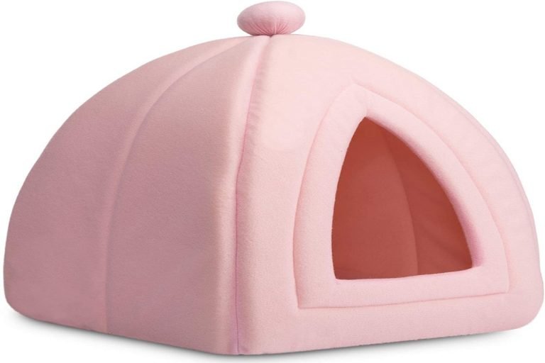 Pink Cat Tent With Ball On Top