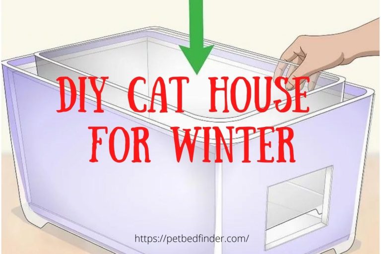 How To DIY An Outdoor Cat House For Winter