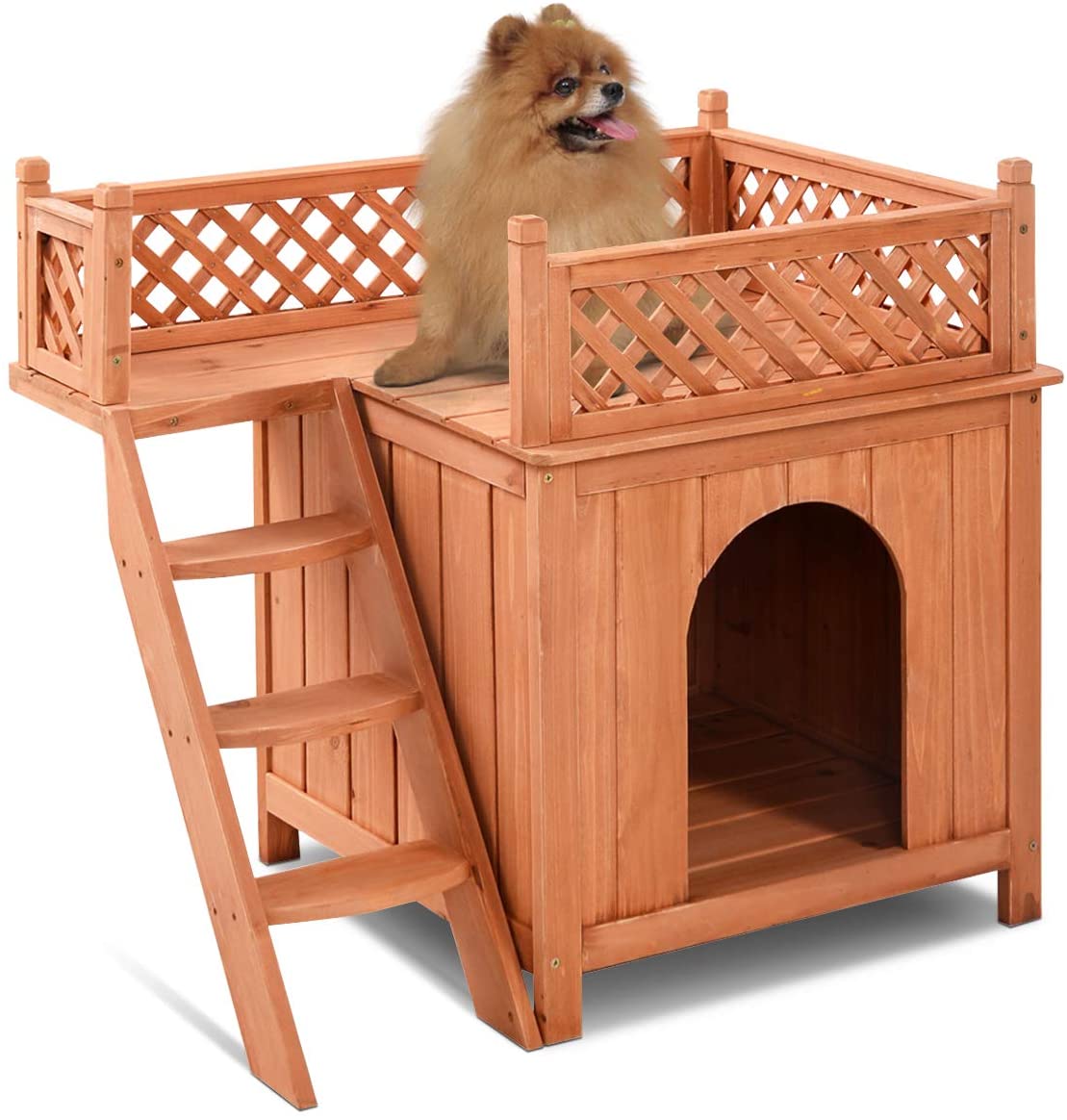 Elevated Dog Beds With Stairs 2024 | Pet Bed Finder