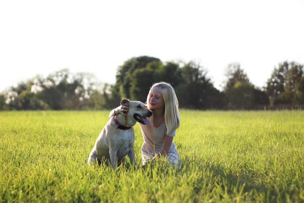 labrador with a girl in a field