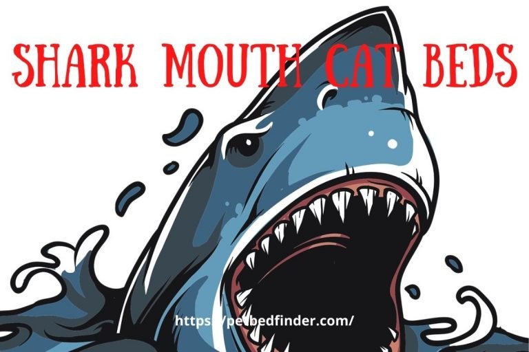 Shark Mouth Cat Bed