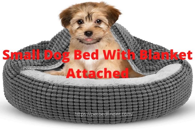 Small Dog Bed With Blanket Attached